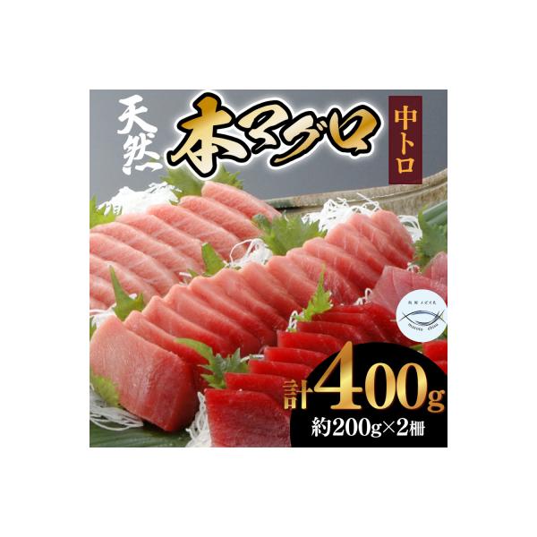 本マグロ　中トロ　2柵(400g)