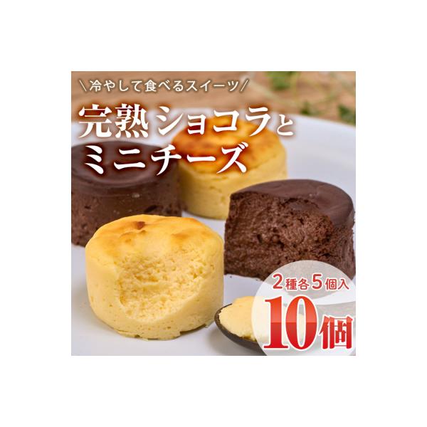 濃厚ショコラ・チーズケーキ (合計10個・2種×5個)