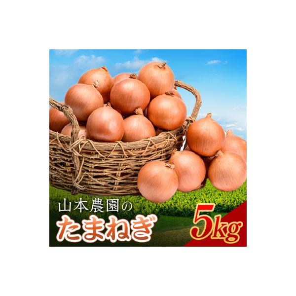 ■お礼品詳細　・内容量：玉ねぎ L〜L大サイズ前後 5kg　・産地：北海道南幌町　・産年：令和７年産　・消費期限：60日　・保存方法：できるだけ風通しの良い涼しくて暗い場所で保管してください。　・配送方法：通常便　・生産：山本農園　・提供元...
