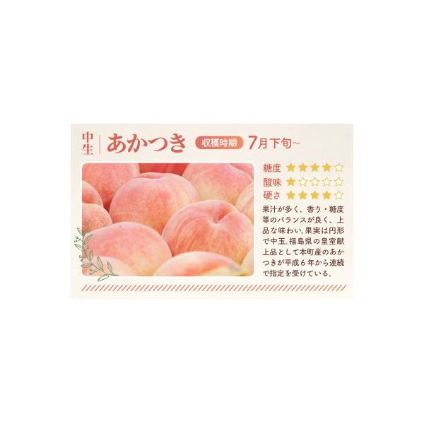 もも【あかつき・2026年産先行受付】特秀約3kg「献上桃の郷ブランド品」桑折町産　JAふくしま未来