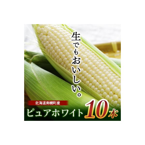 令和8年配送 北海道産 とうもろこし ピュアホワイト 10本 朝採れ 一番果