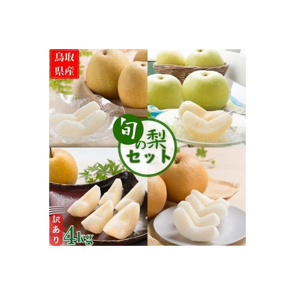 ■お礼品詳細　・内容量：鳥取県産梨　4〜16玉前後　4kg　・賞味期限：出荷日から常温4日、冷蔵7日以内(到着後お早めに召し上がりください)　・配送方法：通常　・事業者名：高間商店株式会社　・提供元：八頭町■お申し込み・配送・その他　・発送...