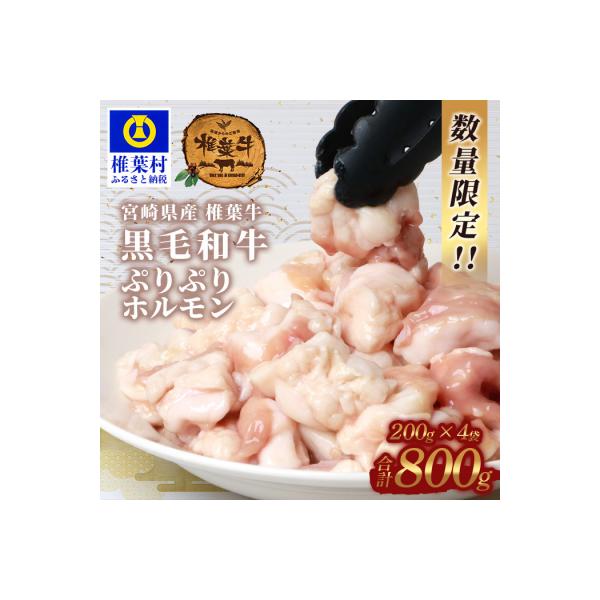 宮崎県産 椎葉牛 ぷりぷりホルモン(小腸)200g×4袋 合計800g【もつ鍋・焼肉用】ホルモン焼き