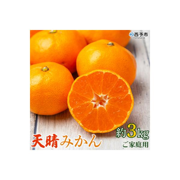 【先行受付】愛媛県明浜産　天晴みかん(温州みかん) 3kg