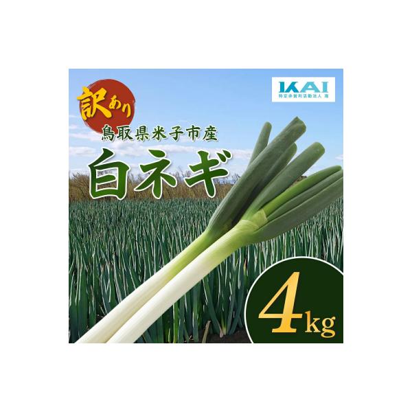 ■お礼品詳細　・提供事業者：NPO法人 海　・提供元：米子市■お申し込み・配送・その他　・発送時期：2025/12/1〜2026/5/1に発送※なお、在庫状況や年末年始等は通常より発送にお時間をいただく場合がございます。何卒ご了承ください。...