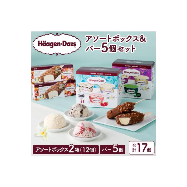 ハーゲンダッツバラエティセット(アソート&バー5本)_H0026-101