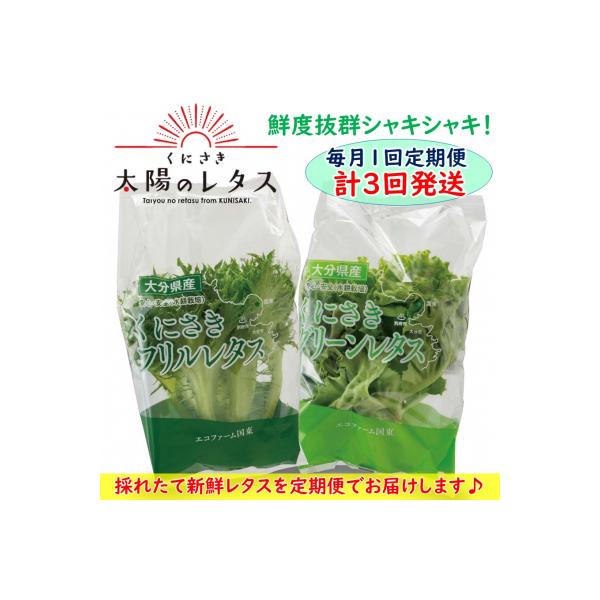 ■お礼品詳細　・容量：グリーンレタス×6袋、フリルレタス×6袋(計12袋 / 1回分)×計3回　・消費期限：製造日から冷蔵で10日間　・配送方法：冷蔵　・事業者：株式会社 エコファーム国東　・提供元：国東市■お申し込み・配送・その他　・発送...