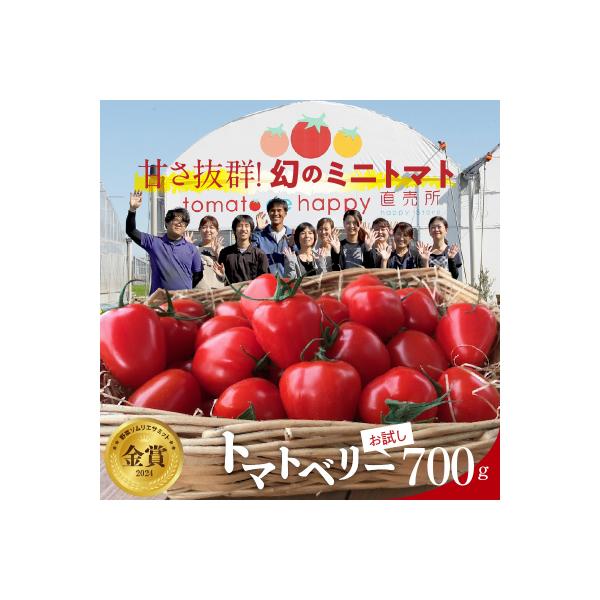 【事前受付】トマト嫌いでも食べられるトマトベリー約700g(1月～4月発送)　 H004-183