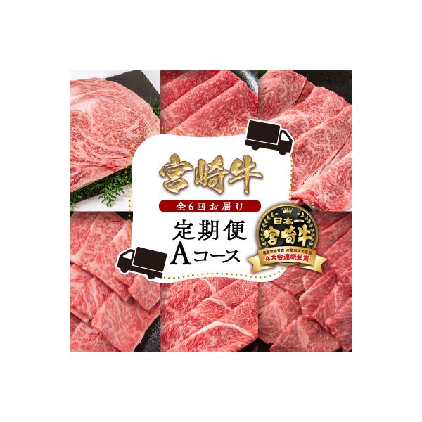 宮崎牛6ヶ月定期便Aコース 焼肉 すき焼き ステーキ[2789]