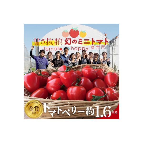 トマト嫌いでも食べられるトマトベリー約1.6kg　H004-179_Feb