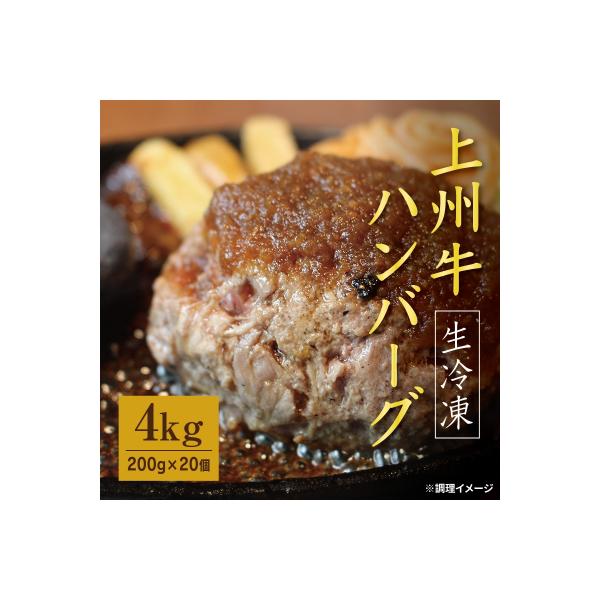 生冷凍 上州牛入りハンバーグ4kg(200g×20個)【195】