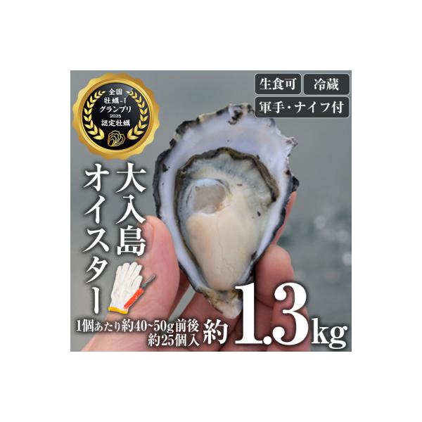 牡蠣1グランプリ最高金賞受賞!真ガキ 大入島オイスター<生食可・シングルシード養殖>(約1.3kg)