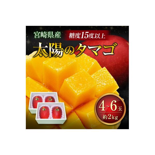 糖度15度以上『太陽のタマゴ』 約2kg 4～6玉 宮崎県産 完熟マンゴー ブランド 贈答 ギフト