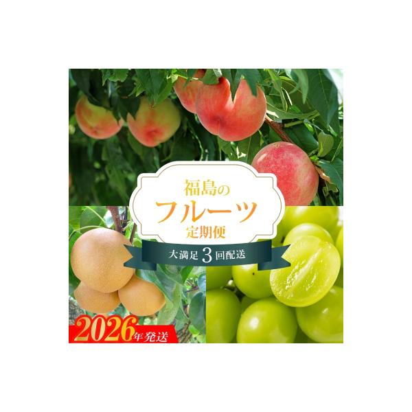 【2026年発送　先行受付分】フルーツ3種定期便No.2528