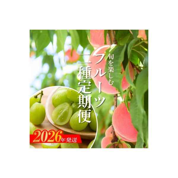 【2026年発送　先行受付分】フルーツ2種定期便No.2529