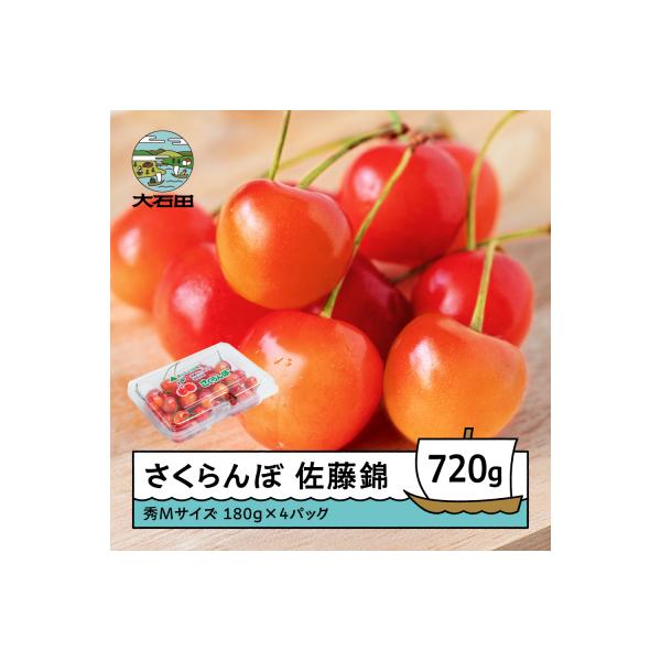 さくらんぼ 佐藤錦 秀Mサイズ 約720g(180g×4パック)フードパック 2025年産 山形県産