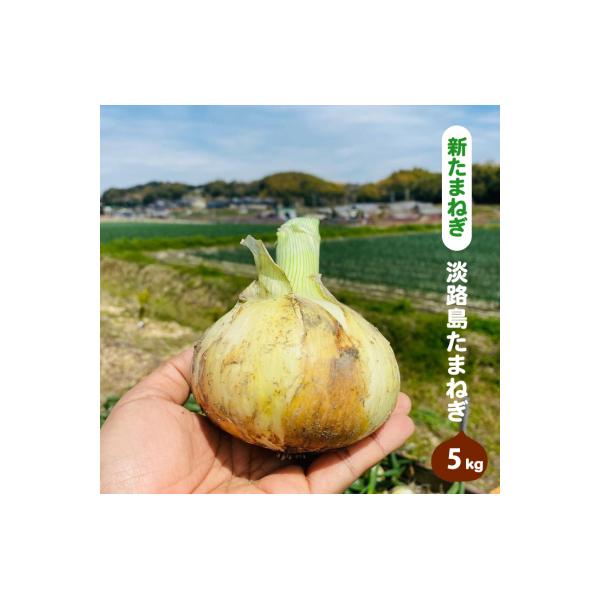 ■お礼品詳細　・配送方法：通常　・提供元：淡路市■お申し込み・配送・その他　・発送時期：2026年5月頃(天候や収穫の状況により前後する場合がございます)　・申込受付期間：2026年5月頃まで(天候や収穫の状況により前後する場合がございます...