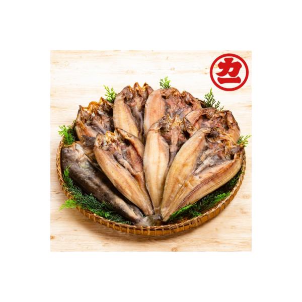 どどーんと8枚!しまほっけ一夜干しセット