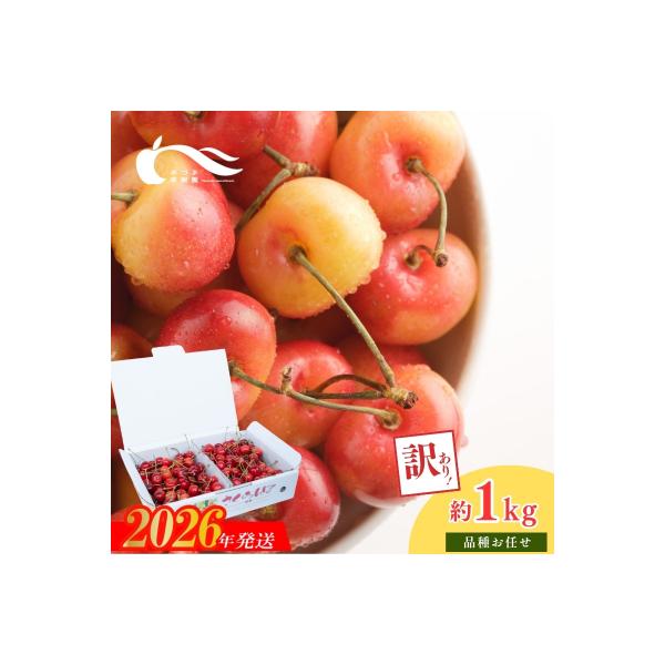 ■お礼品詳細　・事業者：有限会社あづま果樹園　・内容量：1kg※Ｍ玉中心、色むらなど訳あり　・賞味期限：発送日+2日程度※生ものですので期間に関わらずお早目にお召し上がりください。　・配送方法：冷蔵便　・提供元：福島市■お申し込み・配送・そ...