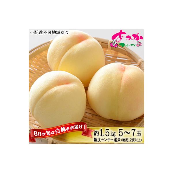 桃 8月の 白桃 約1.5kg 5～7玉 糖度12度以上 2026年[NO5765-0875]