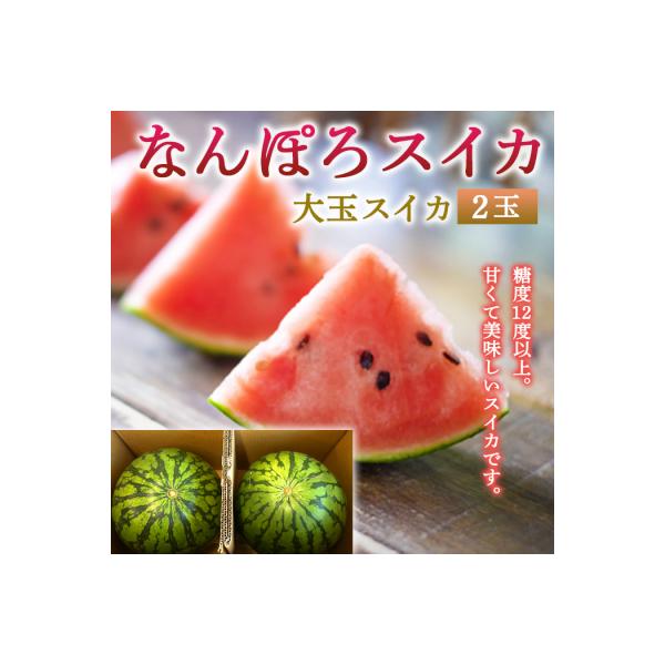 北海道産 大玉スイカ 2玉 約14kg なんぽろスイカ 糖度12度以上 8月発送 JAなんぽろ