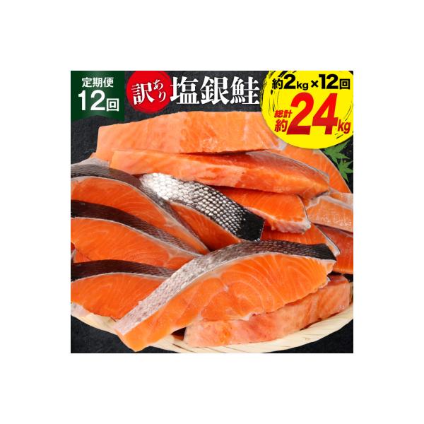 定期便《12ヶ月連続お届け》訳あり 鮭 切身 約2kg×12 計24kg[20564464]サーモン