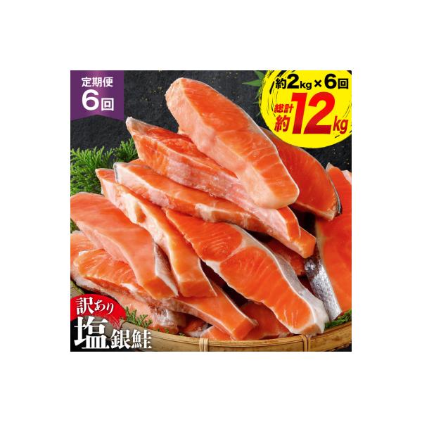 定期便 《6ヶ月連続お届け》訳あり 鮭 切身 約2kg×6回 計12kg[20564480]サーモン
