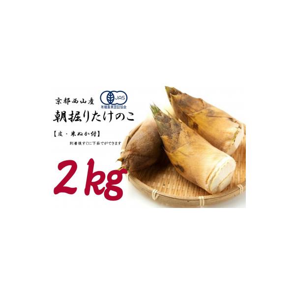 <先行受付>【皮付き京都西山産】 朝掘りたけのこ 2kg(米ぬか付)【アドプランツコーポレーション】
