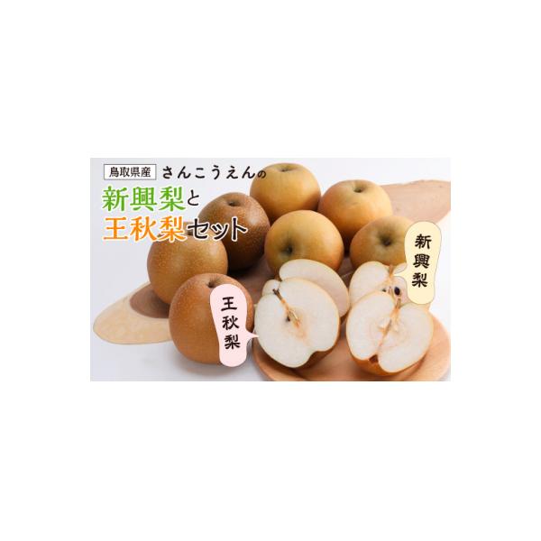 ■お礼品詳細　・注意事項：数量限定：25箱　・消費期限：出荷日より常温　新興梨 約20日、王秋梨 約30日　・配送方法：通常　・提供事業者：有限会社　佐々木山光園　梨一筋百年さんこうえん　・提供元：鳥取市■お申し込み・配送・その他　・発送時...