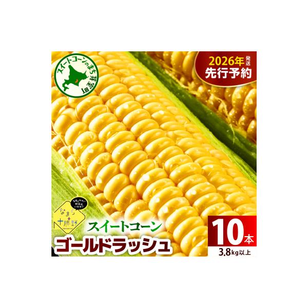 【先行受付】北海道十勝芽室町 スイートコーンゴールドラッシュ 10本 me001-003c-26
