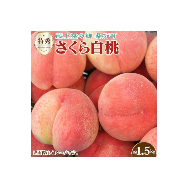 もも【さくら白桃・2026年産先行受付】特秀1.5kg　桑折町産　JAふくしま未来　桃
