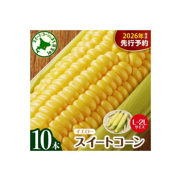 【8月から発送!】北海道芽室町 スイートコーン 10本 イエロー