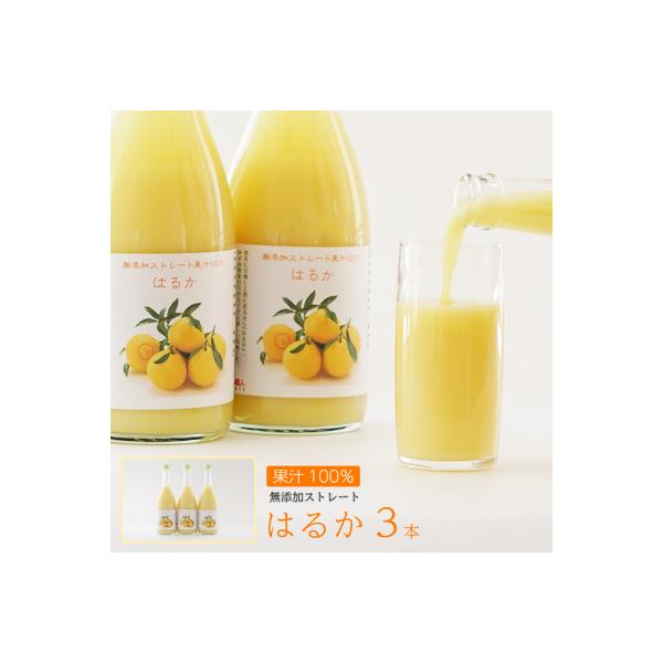 無添加 はるか ジュース 720ml 3本 果汁 100% 柑橘 果物 国産 みかん職人武田屋
