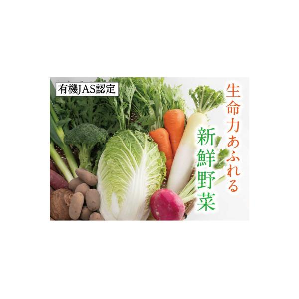 ふるさと納税 鳥取市 有機JAS認定 冬野菜とお米の詰め合わせセット