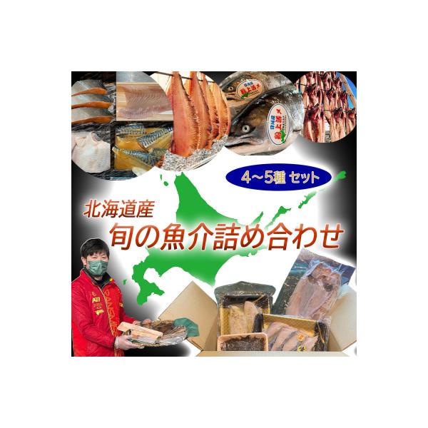 北海道産 旬の魚介 4～5種 お楽しみ詰め合わせ セット