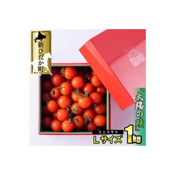 <9/15までの受付> 北海道産 ミニトマト 太陽の瞳 L サイズ 1kg 新ひだか町