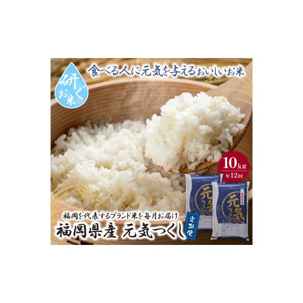 寄附額改定↓↓ 研ぐお米 福岡県産・元気つくし10kg定期便(毎月・年12回)