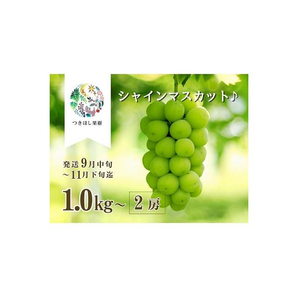 【産地直送】上山産・完熟シャインマスカット　1kg以上　ご家庭用　0140-2607