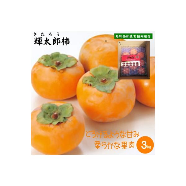 鳥取県産柿「輝太郎柿」きたろうかき　3kg