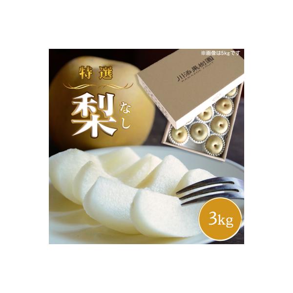 川添果樹園の特選梨 約3kg