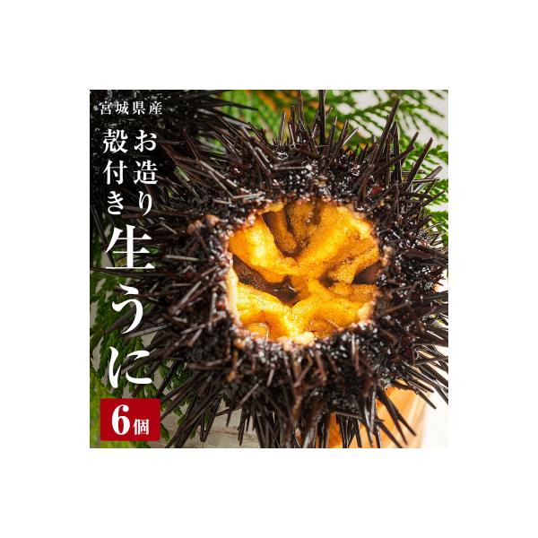 生うに 宮城県産 殻付き お造り 生ウニ 6個 冷蔵 ミョウバン不使用 無添加