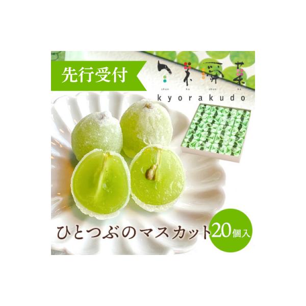 数々のメディアで紹介され大人気のひとつぶのマスカット(20個入)[018-003]