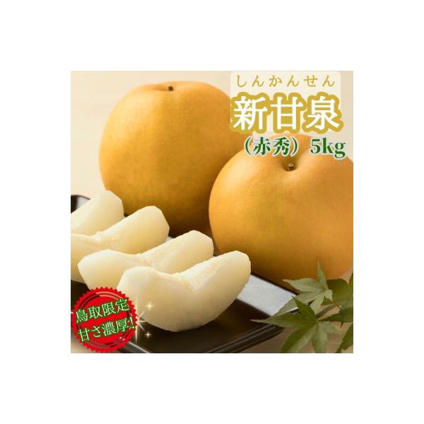 ■お礼品詳細　・内容量：新甘泉〔等級〕赤秀〔容量〕8〜16玉/5kg　・消費期限：発送日から7日間　・配送方法：通常　・事業者名：JA鳥取いなば営農部果実園芸課　・提供元：八頭町■お申し込み・配送・その他　・発送時期：2026年8月20日頃...