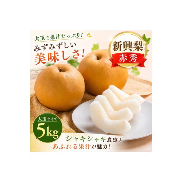 新興梨(赤秀) 5kg