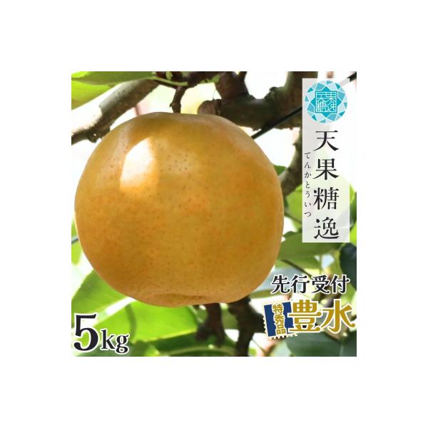 ■お礼品詳細　・取扱事業者：えちご中越農業協同組合　・地場産品基準：1 三条市内で生産されているため。　・提供元：三条市■お申し込み・配送・その他　・発送時期：9月下旬〜10月上旬頃※天候や生育状況により、発送開始・終了時期が前後する場合が...