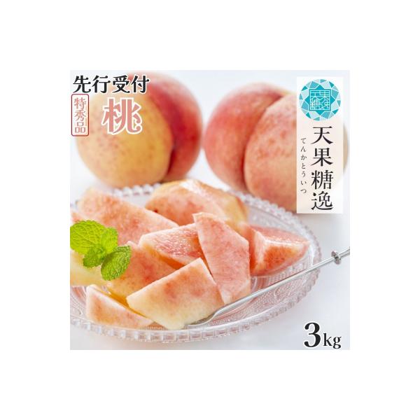 先行受付 桃 特秀品 約3kg 糖度13度以上を厳選 令和8年度 【014S057】