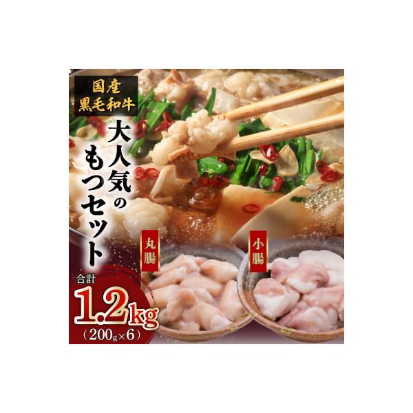 黒毛和牛!大人気のもつ(ホルモン)セット　K002-006