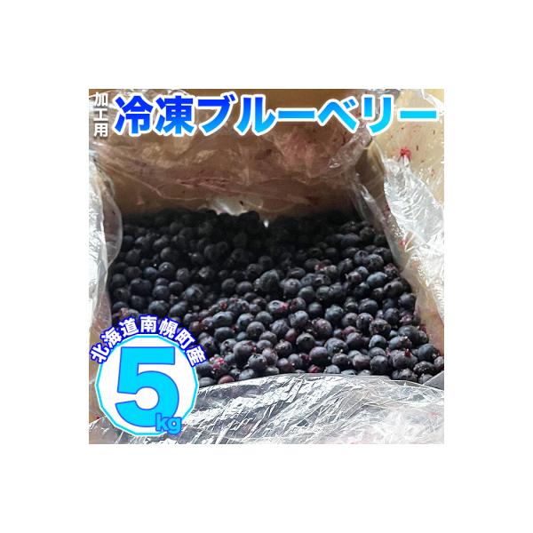 ふるさと納税 南幌町 北海道産 たっぷり使える 冷凍ブルーベリー 5kg
