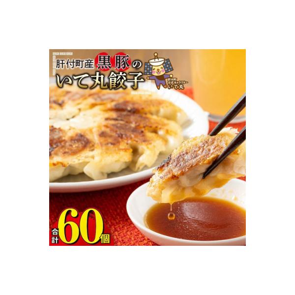 黒豚 餃子 60個入り タレ付き　P43002