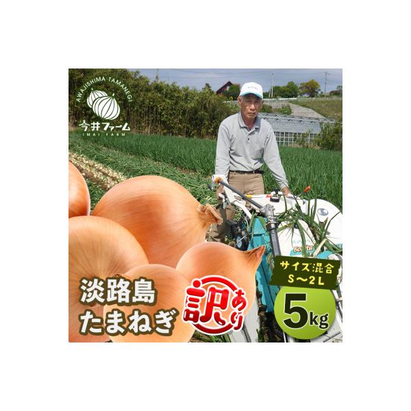 【訳アリ品】今井ファームの淡路島たまねぎ 5kg【サイズ混合S～2L】　ai01102